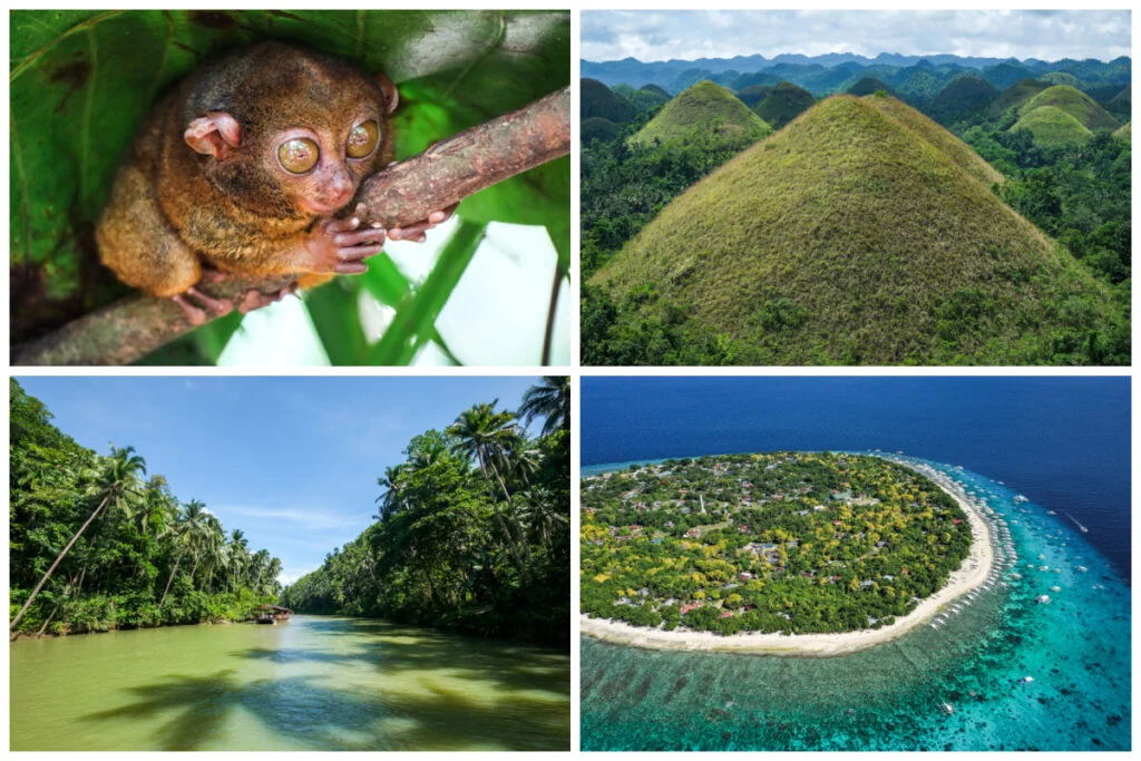 Bohol Philippines Island Travel Guide & How To Visit
