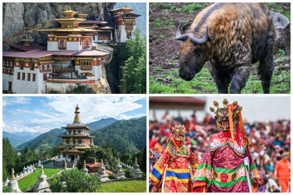 Best Things To Do & See